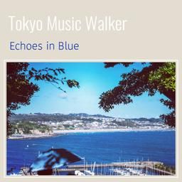 Обложка альбома "Echoes in Blue"