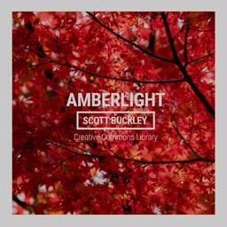 Обложка альбома "Amberlight"